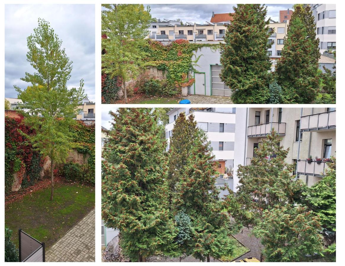 Modernes Einraumzimmer Mit Eigenem Bad, Balkonnutzung, Zentrumsnah - In 10 Minuten Mit Dem Rad Oder Dem Oepnv Zur Arena Und In Leipzigs Innenstadt エクステリア 写真